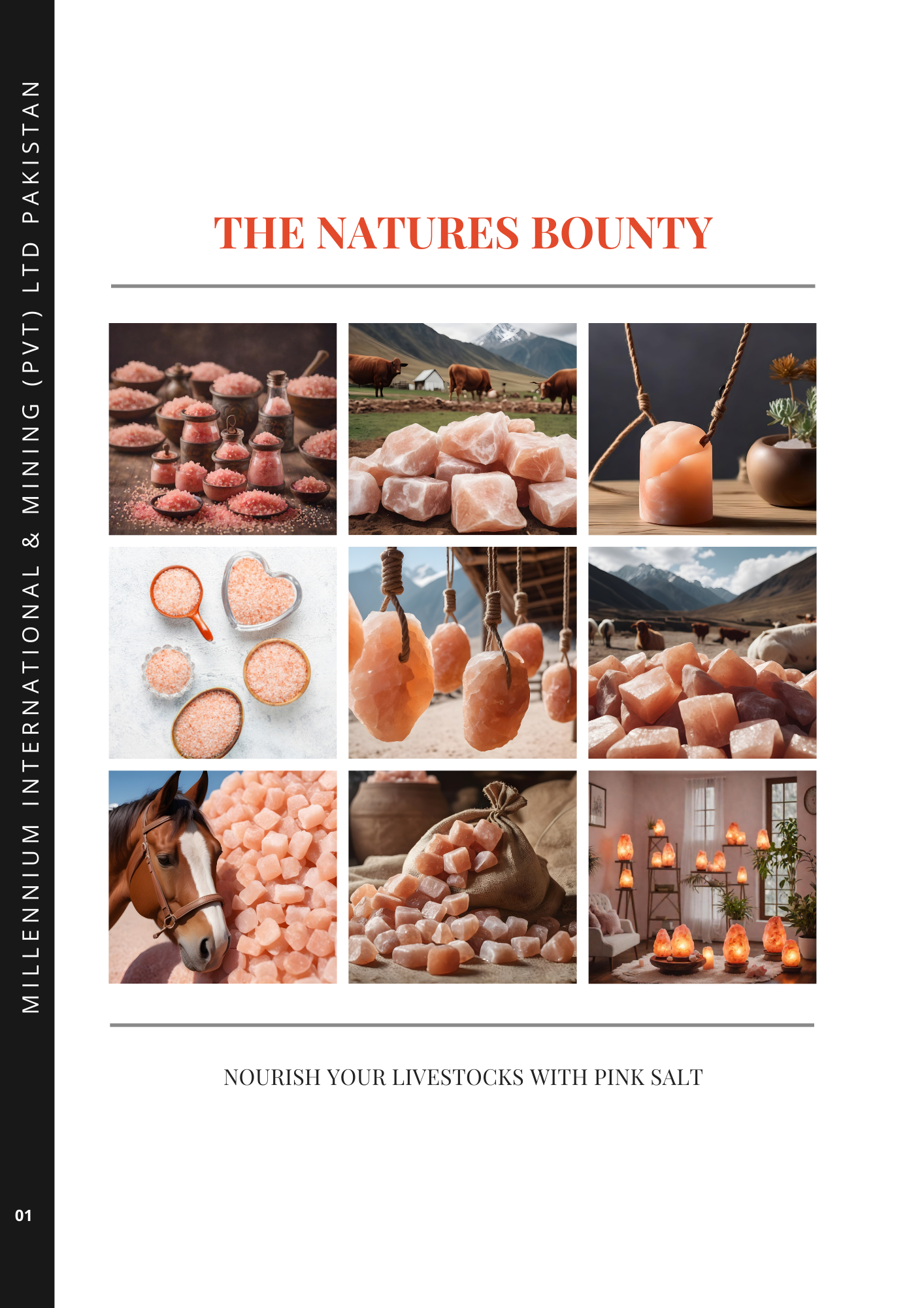 Himalayan Pink Salt Processing