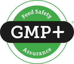 GMP Plus